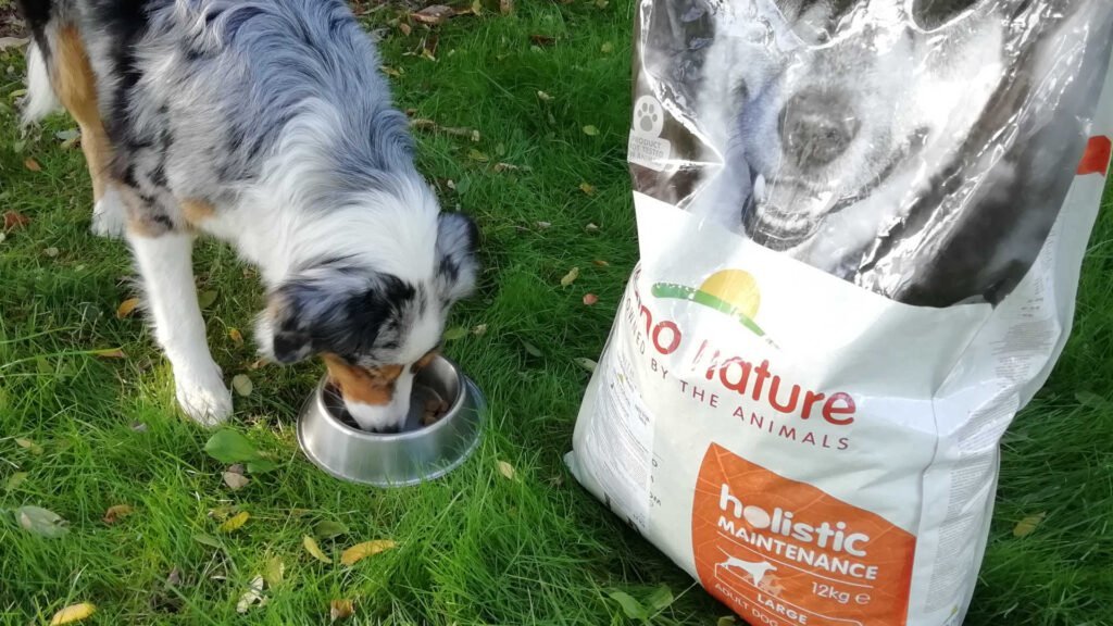 Special Food for Special Dogs - Life Wolfalps EU