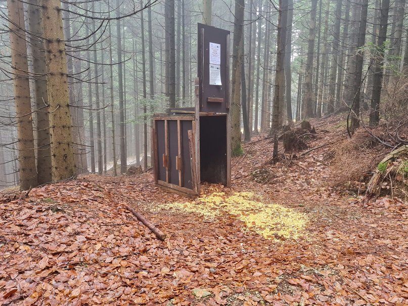 Das Gebiet Jelovica in Slowenien ist bereit für eine neue Rehwildfangsaison - Life Wolfalps EU