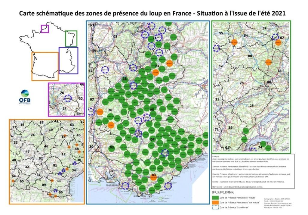 Francia : bilancio del monitoraggio estivo della popolazione di lupo - 2021 - Life Wolfalps EU