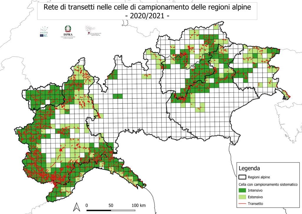 La première estimation complète de la population de loups dans les régions alpines italiennes a été publiée - Life Wolfalps EU
