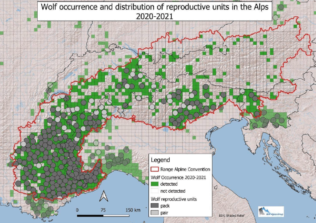 Der Status der Wolfspopulation im Alpenraum - Life Wolfalps EU