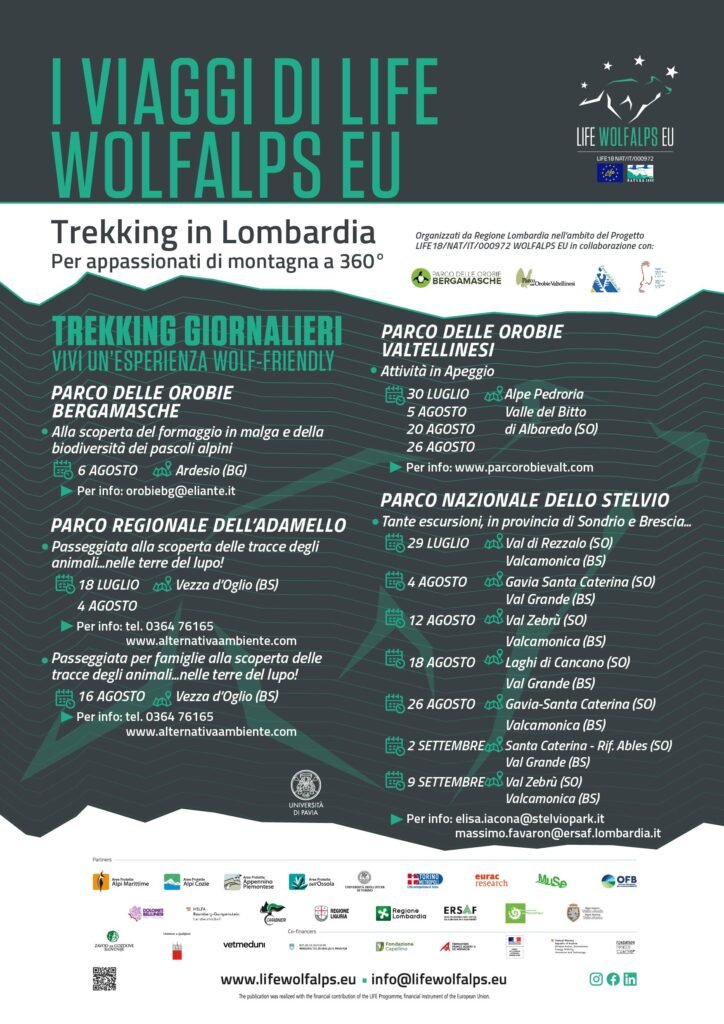 Randonnées pour la coexistence en Lombardie, été 2023 - Life Wolfalps EU