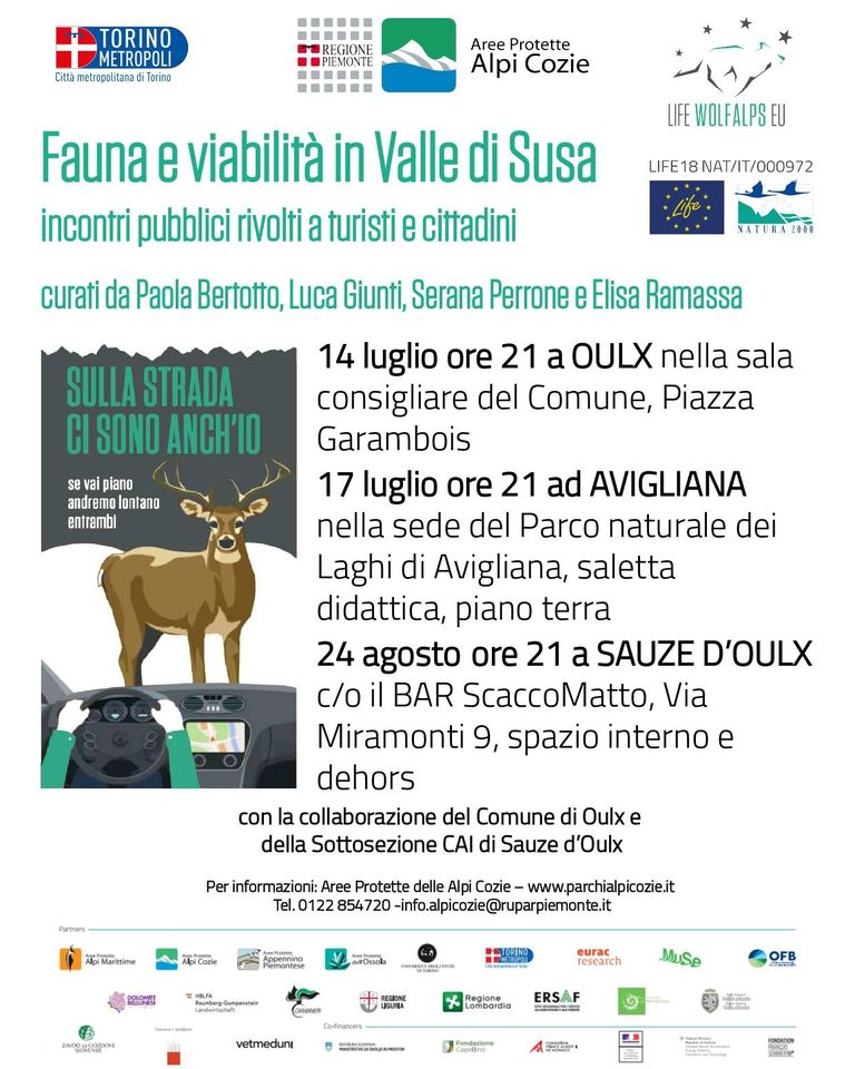 Fauna e viabilità: un ciclo di conferenze per sensibilizzare sui pericoli degli impatti stradali con la fauna selvatica - Life Wolfalps EU