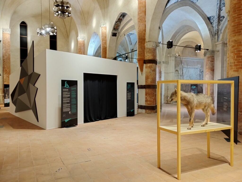 Exhibition: Through the eyes of the wolf - Life Wolfalps EU