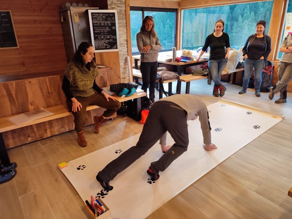 Un nuovo strumento pedagogico per il Parco Nazionale del Mercantour « Animalle loup » ! Un nuovo strumento pedagogico per il Parco Nazionale del Mercantour « Animalle loup » ! - Life Wolfalps EU