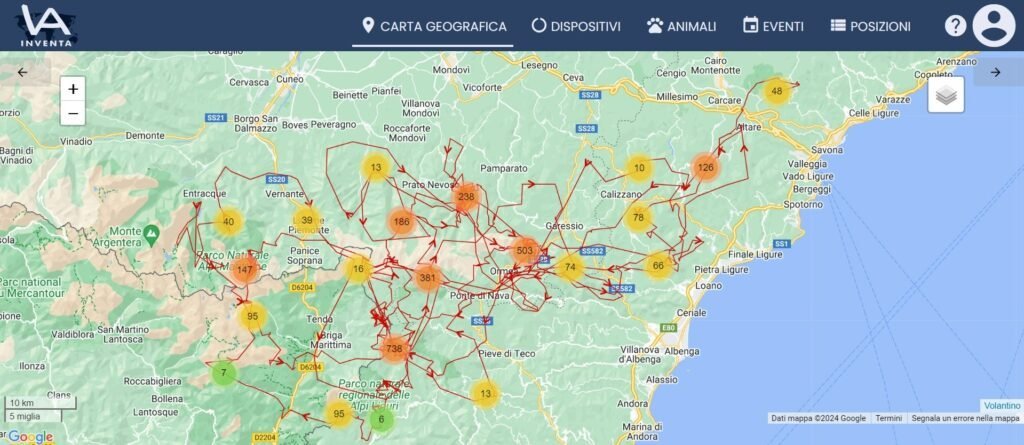 Des nouvelles des loups récemment munis d'un collier émetteur en Ligurie, Italie, et fake news ! - Life Wolfalps EU