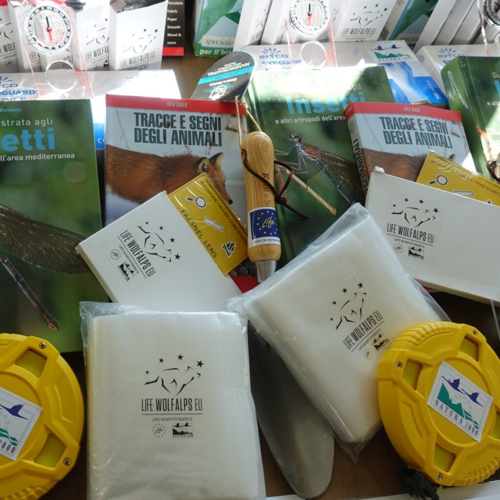 Invito alle Scuole: presentazione proposte didattiche nelle Alpi Cozie, Piemonte - Life Wolfalps EU